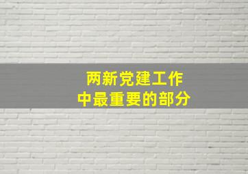 两新党建工作中最重要的部分