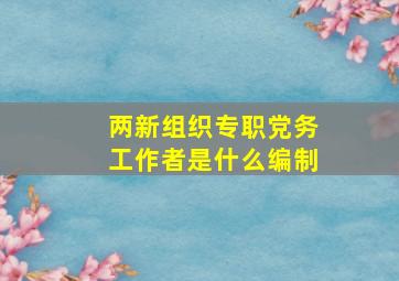 两新组织专职党务工作者是什么编制