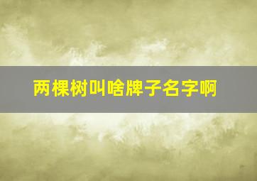 两棵树叫啥牌子名字啊