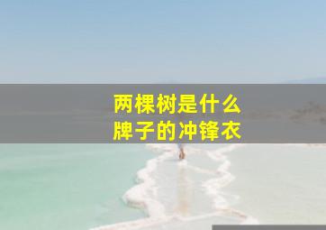 两棵树是什么牌子的冲锋衣