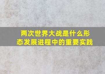 两次世界大战是什么形态发展进程中的重要实践