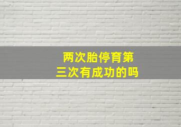 两次胎停育第三次有成功的吗