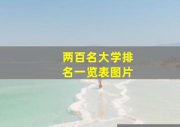 两百名大学排名一览表图片