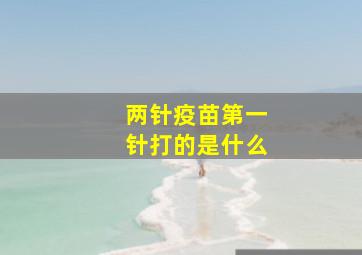 两针疫苗第一针打的是什么