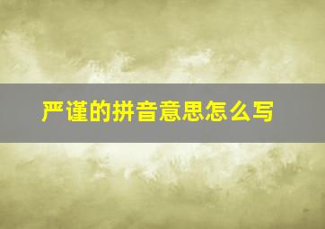 严谨的拼音意思怎么写