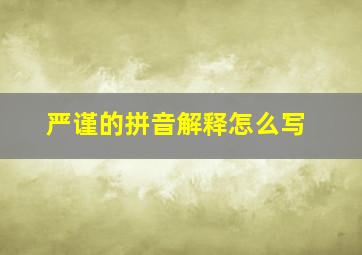 严谨的拼音解释怎么写