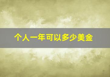 个人一年可以多少美金