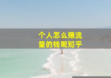 个人怎么赚流量的钱呢知乎