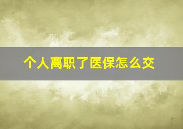 个人离职了医保怎么交