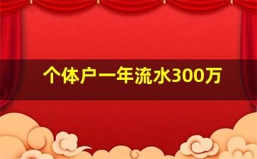 个体户一年流水300万