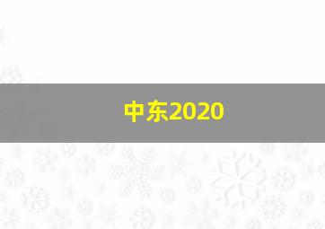 中东2020