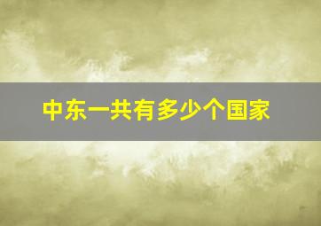 中东一共有多少个国家