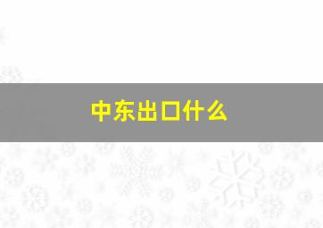 中东出口什么