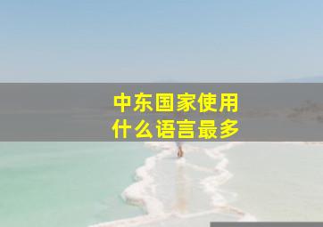 中东国家使用什么语言最多