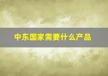 中东国家需要什么产品