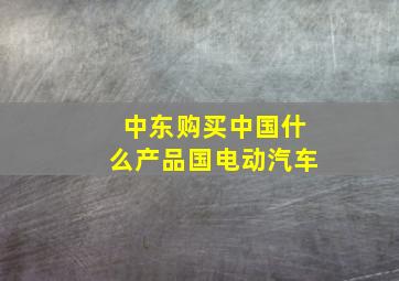 中东购买中国什么产品国电动汽车