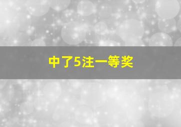 中了5注一等奖