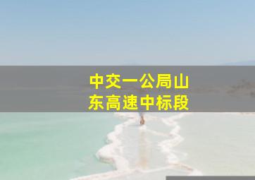 中交一公局山东高速中标段