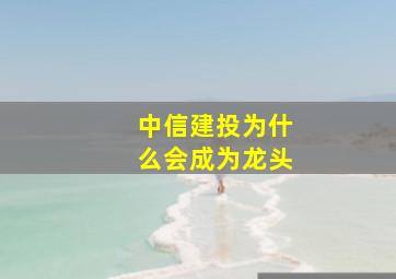 中信建投为什么会成为龙头