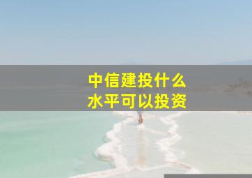 中信建投什么水平可以投资