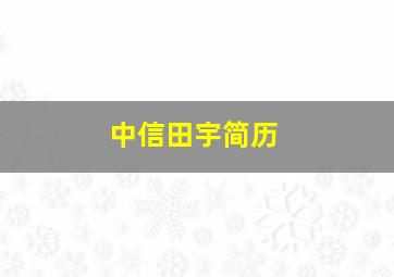 中信田宇简历