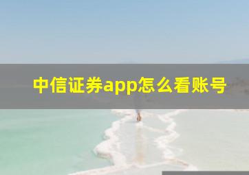 中信证券app怎么看账号