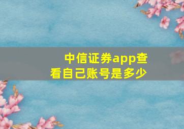 中信证券app查看自己账号是多少