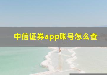 中信证券app账号怎么查