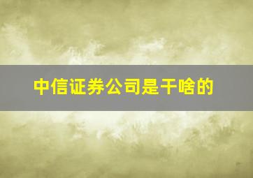 中信证券公司是干啥的