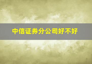 中信证券分公司好不好