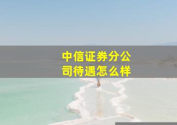 中信证券分公司待遇怎么样