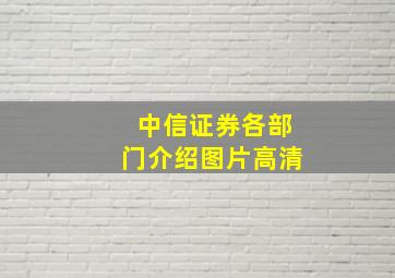 中信证券各部门介绍图片高清