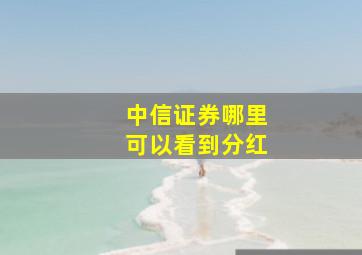 中信证券哪里可以看到分红