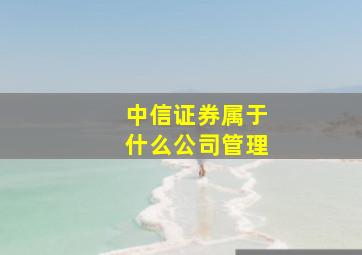 中信证券属于什么公司管理