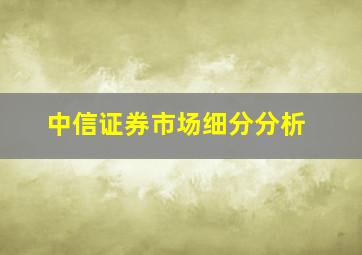 中信证券市场细分分析