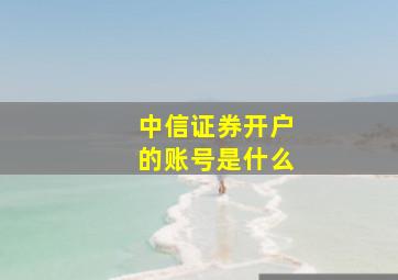 中信证券开户的账号是什么