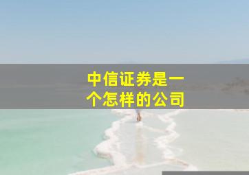 中信证券是一个怎样的公司