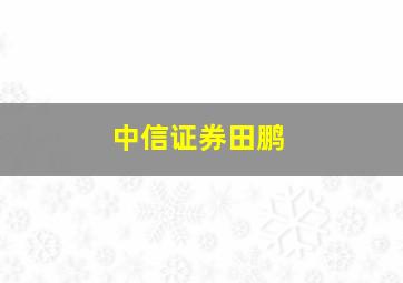 中信证券田鹏