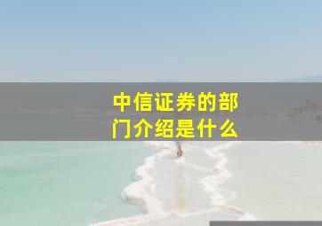 中信证券的部门介绍是什么