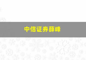 中信证券薛峰