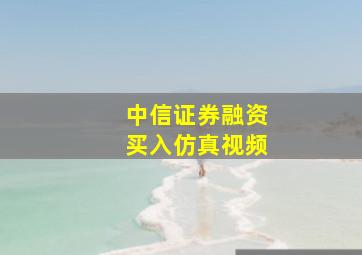 中信证券融资买入仿真视频