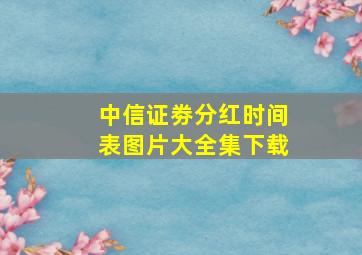 中信证劵分红时间表图片大全集下载