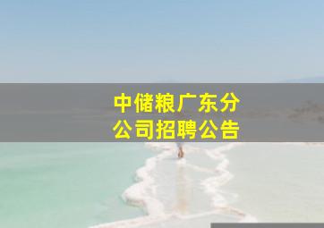 中储粮广东分公司招聘公告