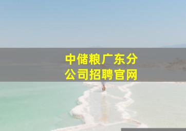 中储粮广东分公司招聘官网