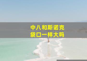 中八和斯诺克袋口一样大吗