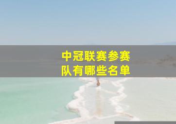 中冠联赛参赛队有哪些名单