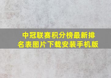 中冠联赛积分榜最新排名表图片下载安装手机版