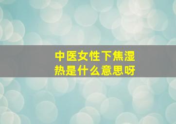 中医女性下焦湿热是什么意思呀