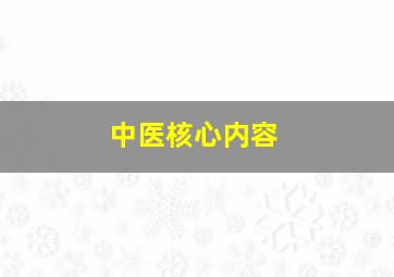 中医核心内容