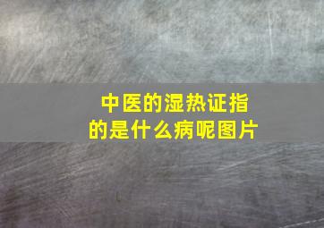 中医的湿热证指的是什么病呢图片